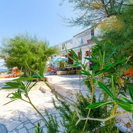 Marijana * טרוגיר