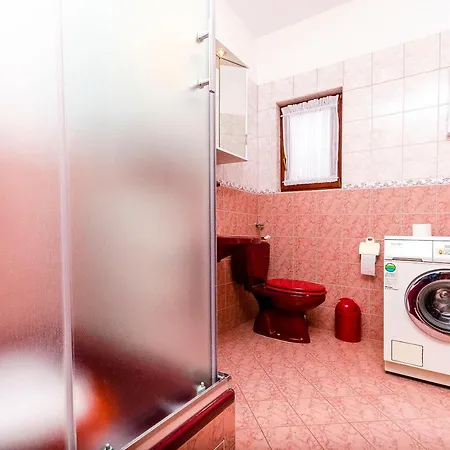 Marijana טרוגיר